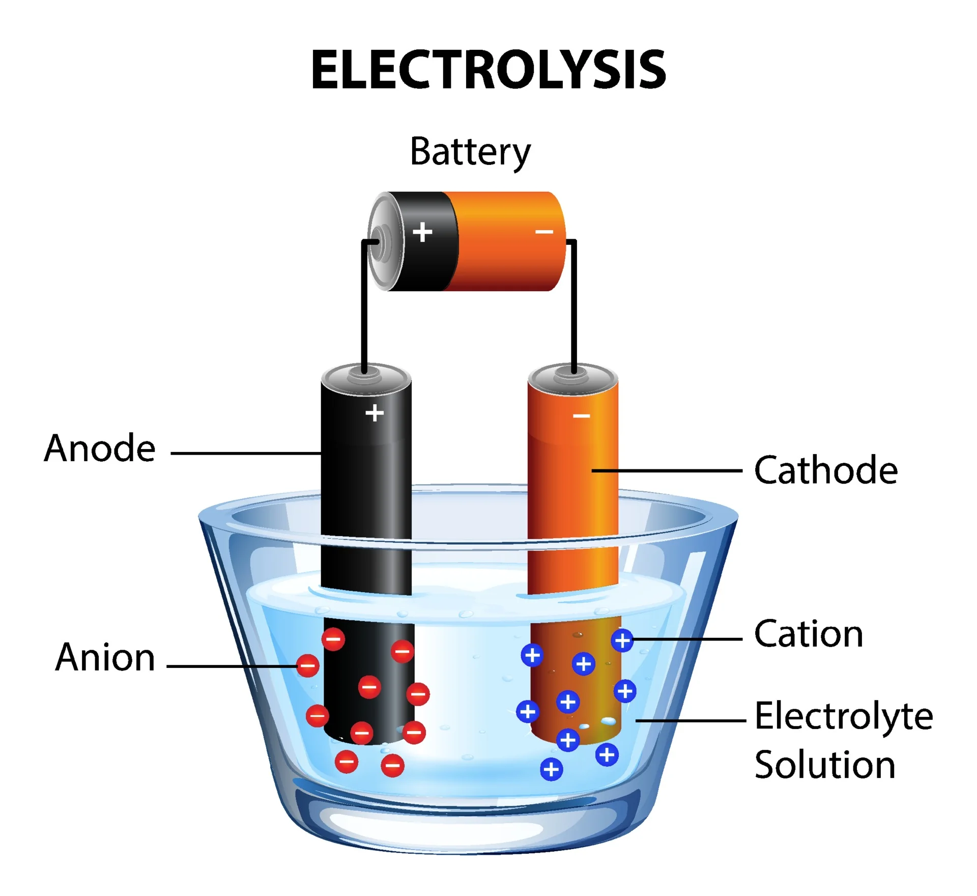 electrolysis diagram experiment for education free vector